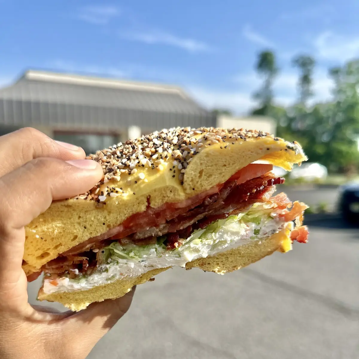 Lett & Tomato Egg & Cheese