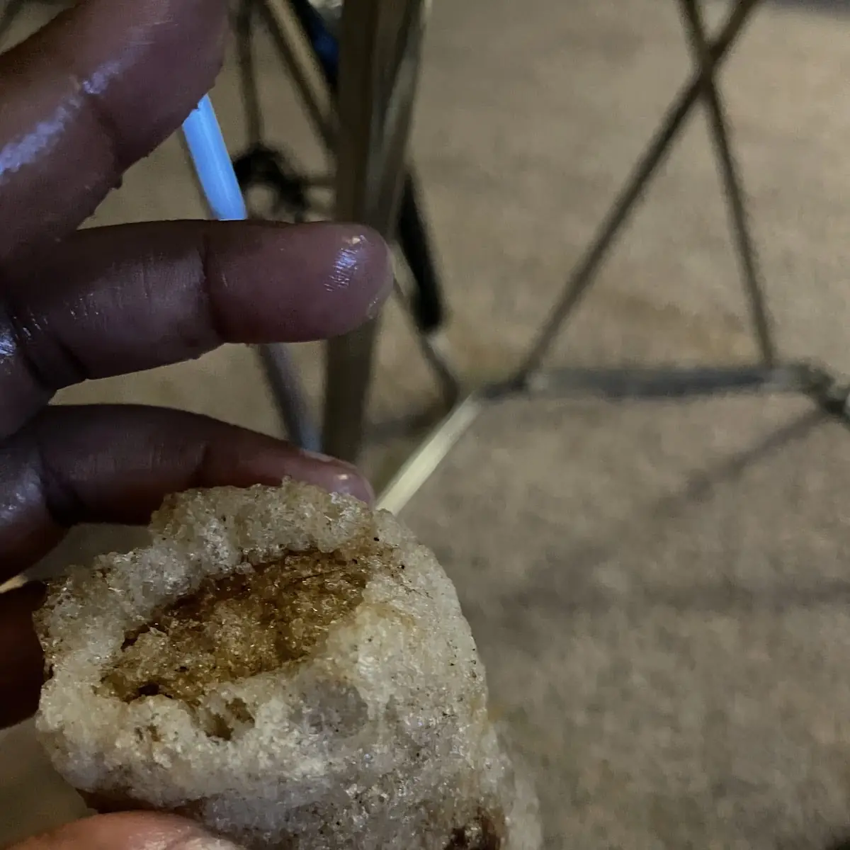 Pork Egg Rolls 2x