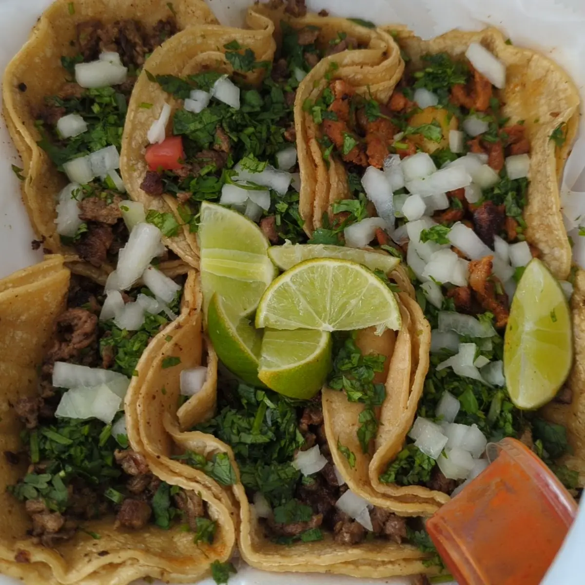 Steak and Al Pastor Tacos