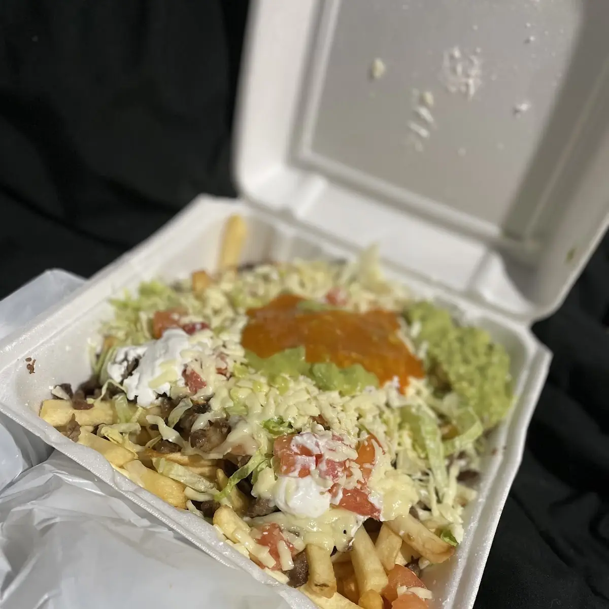 Carne Asada Fries