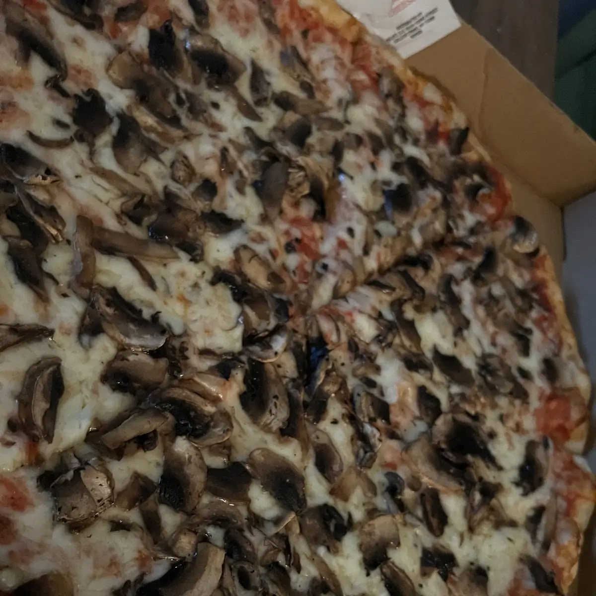 Mushroom Pizza