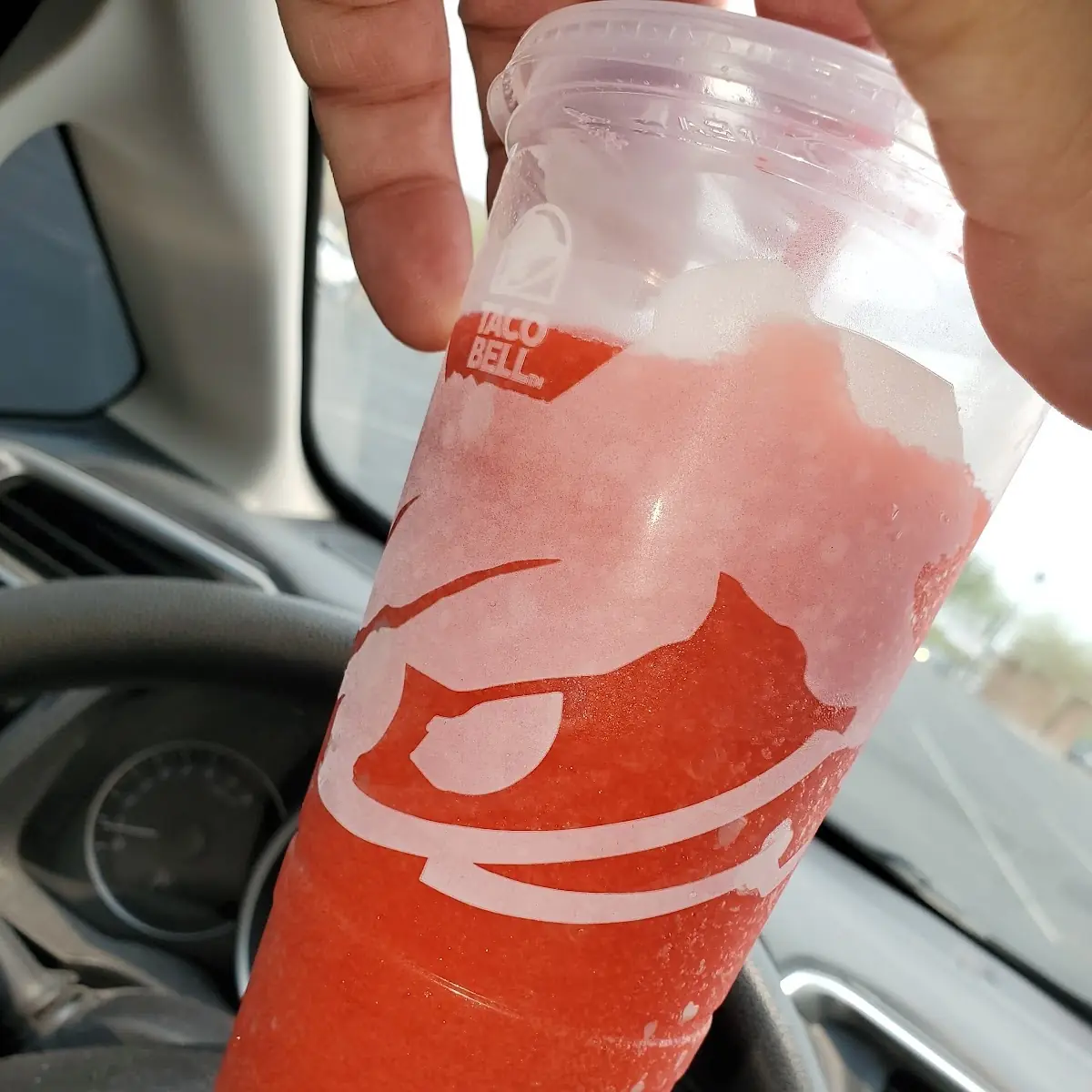 Wild Strawberry Freeze