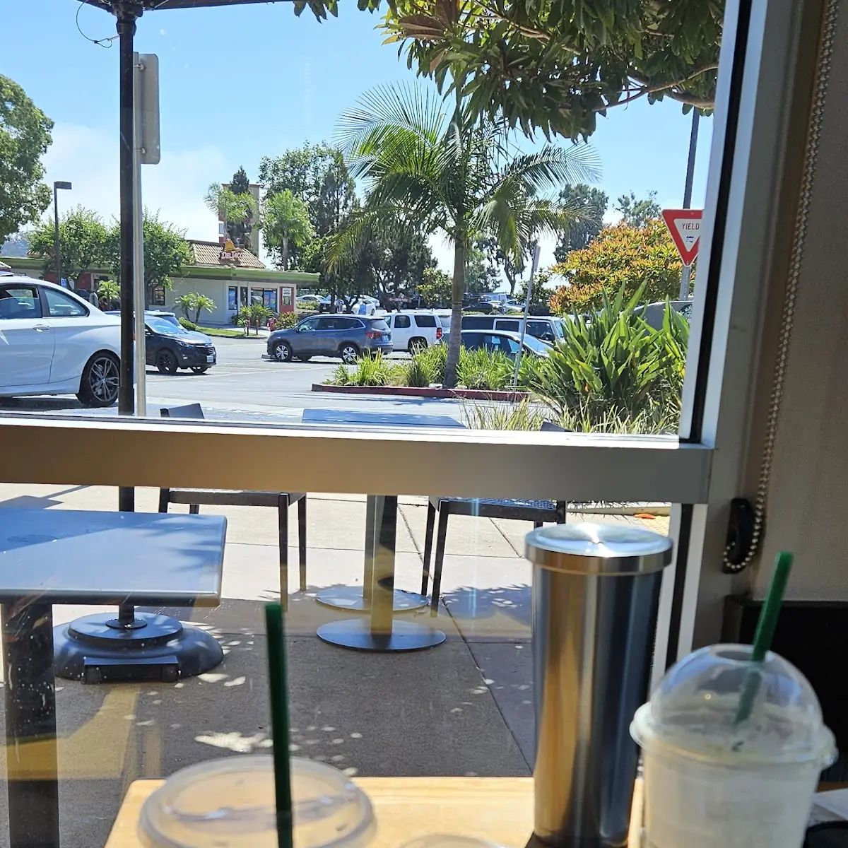 Mango Dragonfruit Starbucks Refreshers Beverage