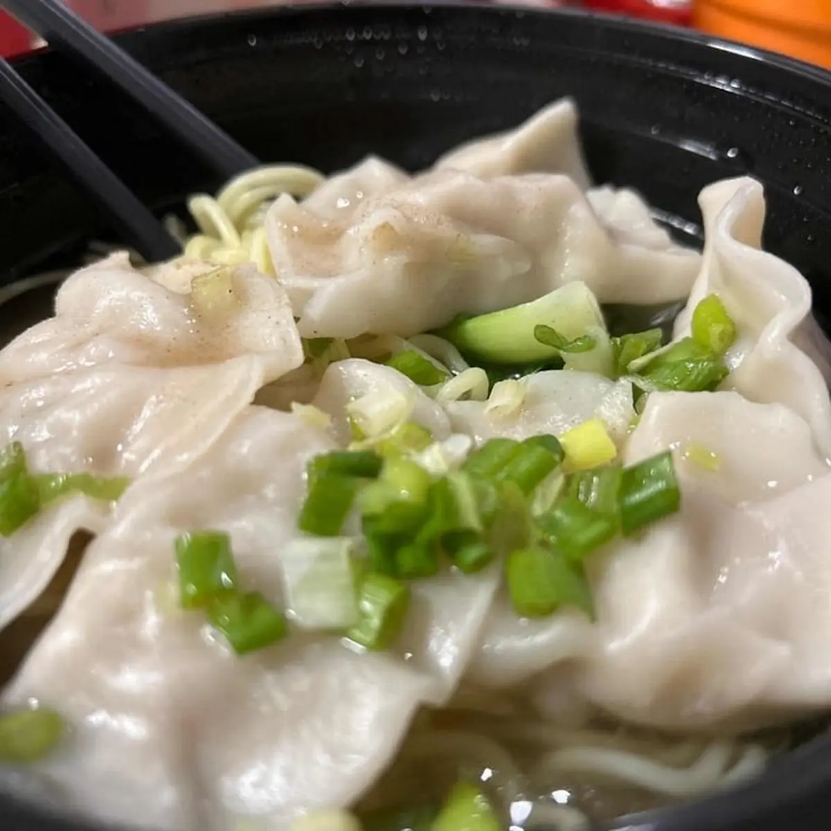 Beef Soup Dumplings (2)