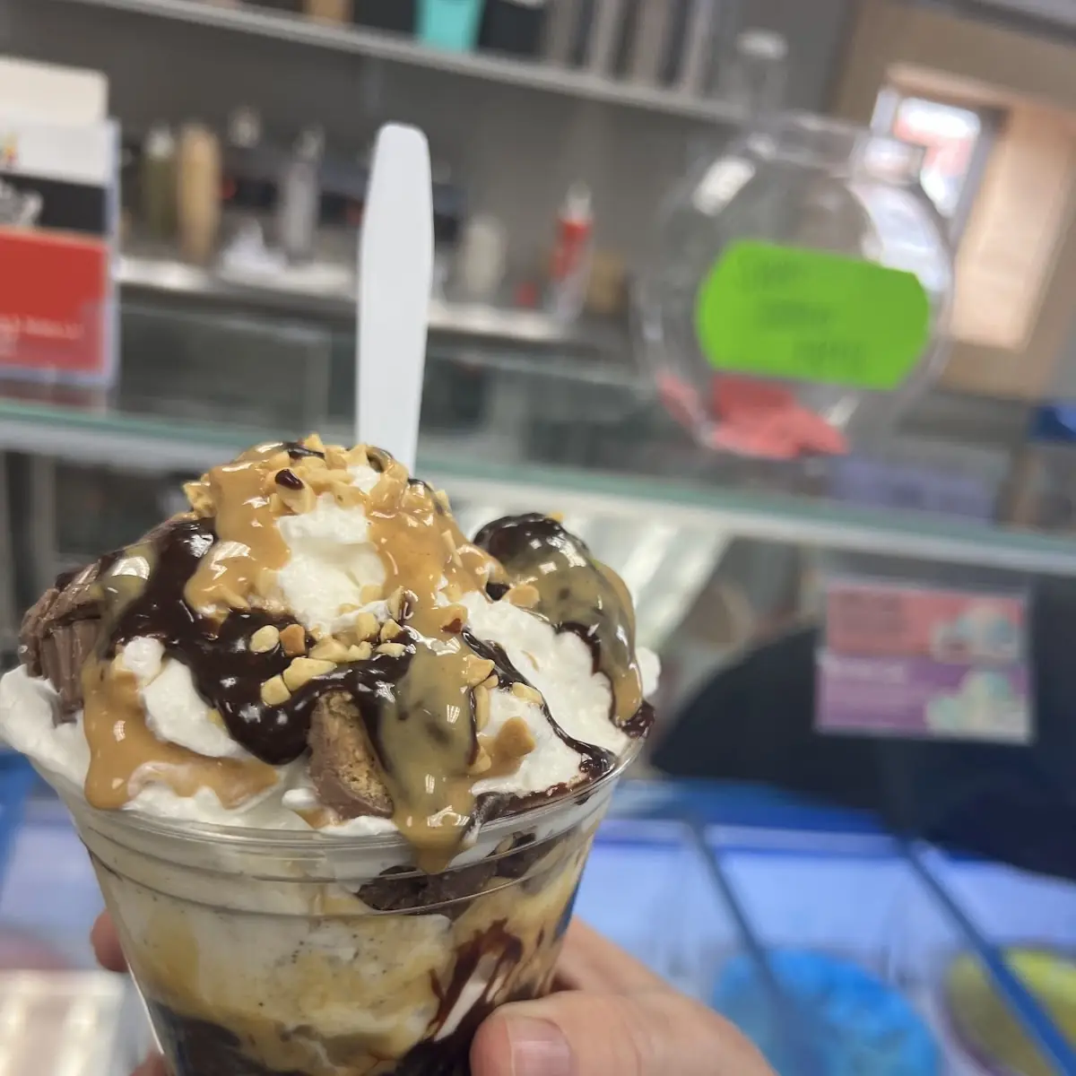 No Sugar Added Turtle Sundae