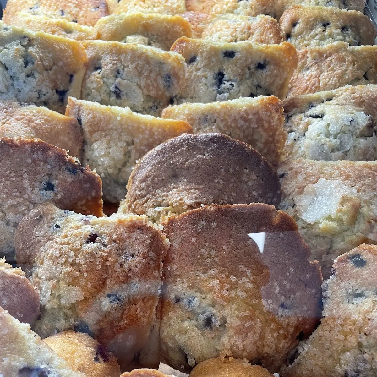 Blueberry Muffin
