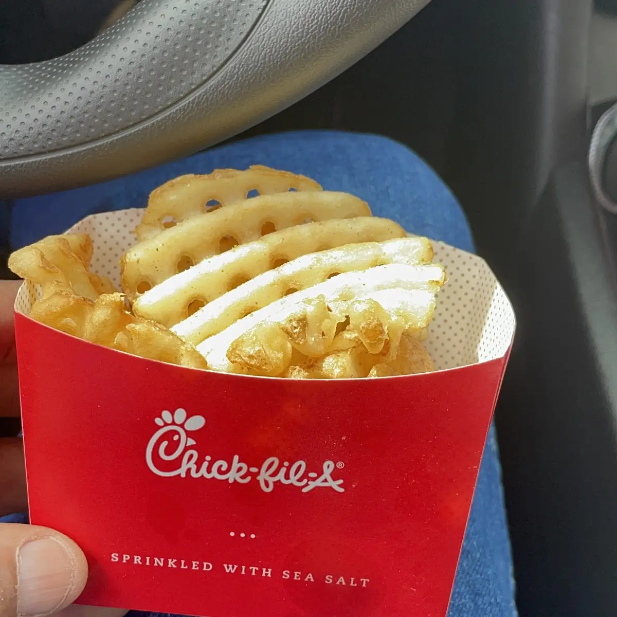 Waffle Fries