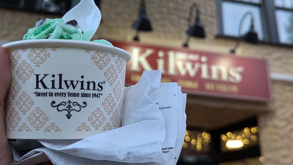 Mint Chocolate Chip Ice Cream