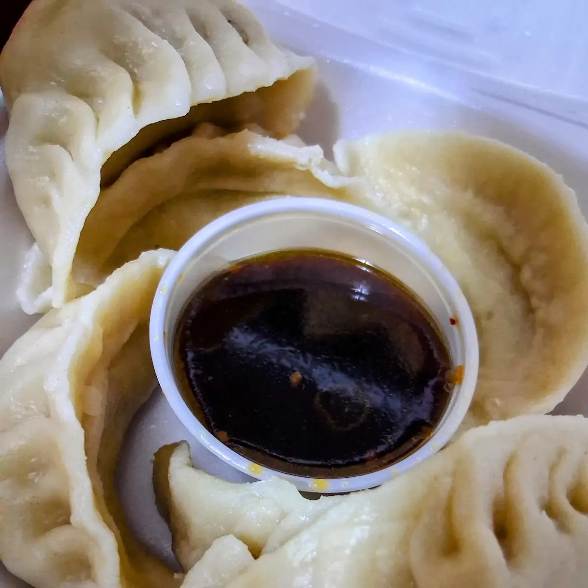 Steamed Dumplings 6