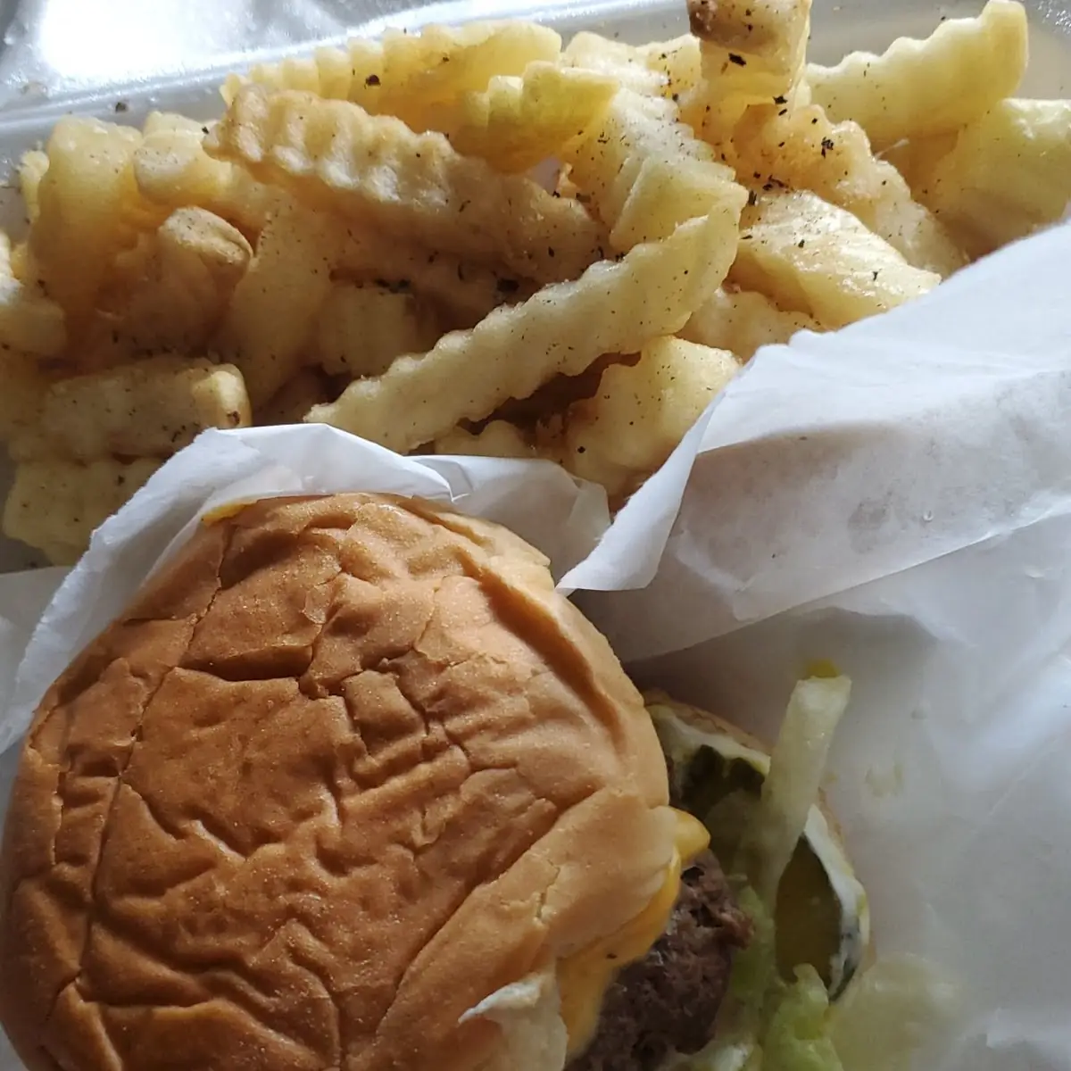 Double Cheese Burger and Fries
