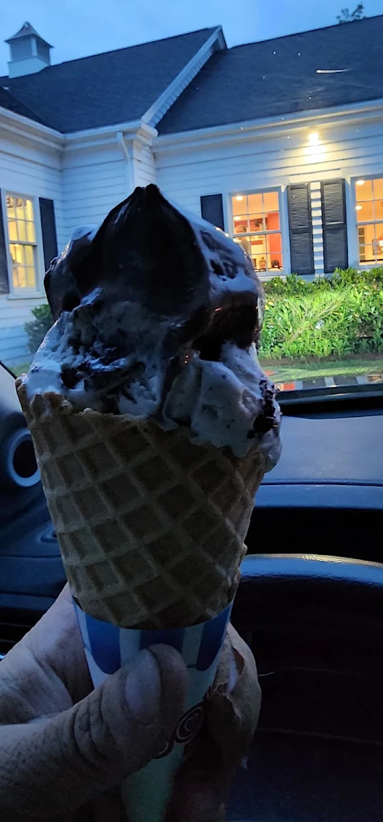 2 Scoop Waffle Cone