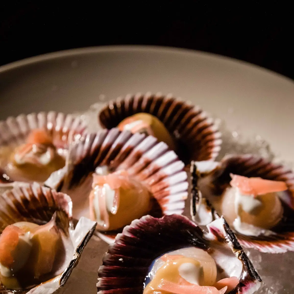 Scallops on the Half Shell