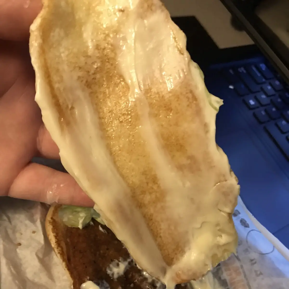 My Sandwich