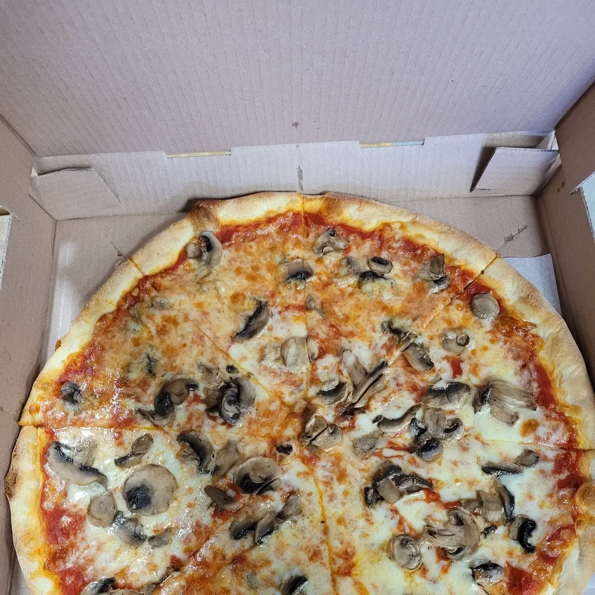 Mushroom Pizza