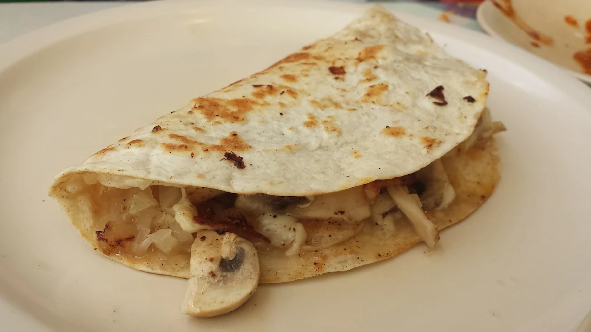 Chicken Quesadilla