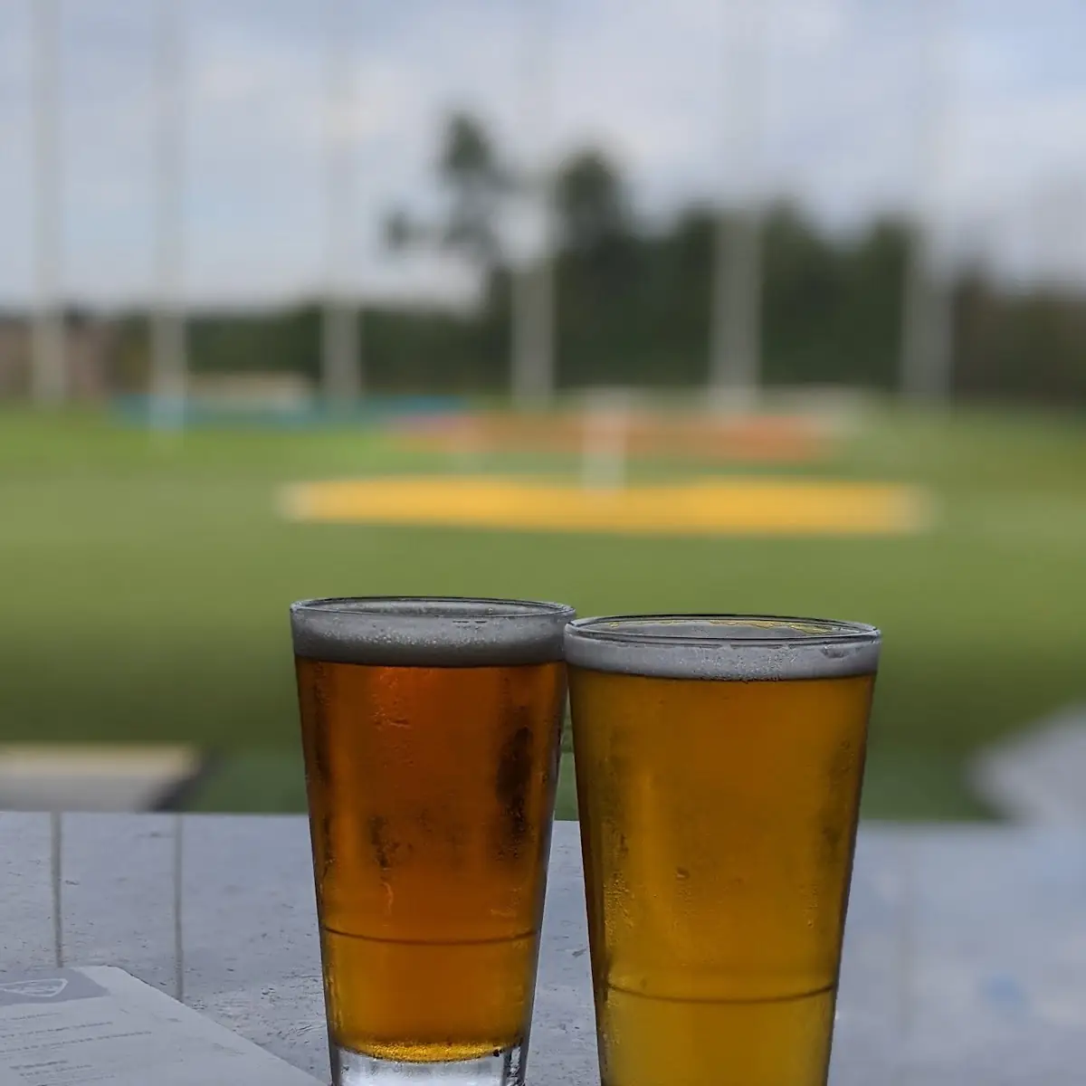 Lagunitas IPA