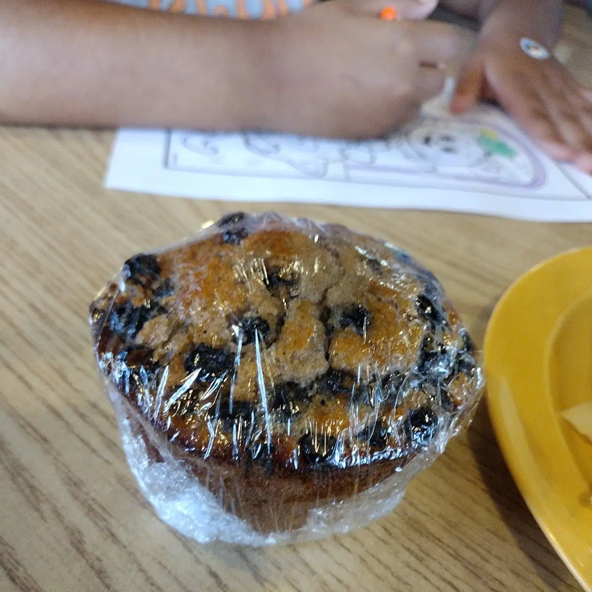 Blueberry Muffin