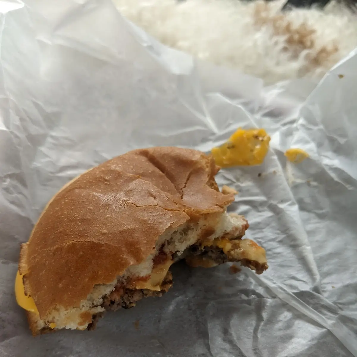 Double Cheeseburger