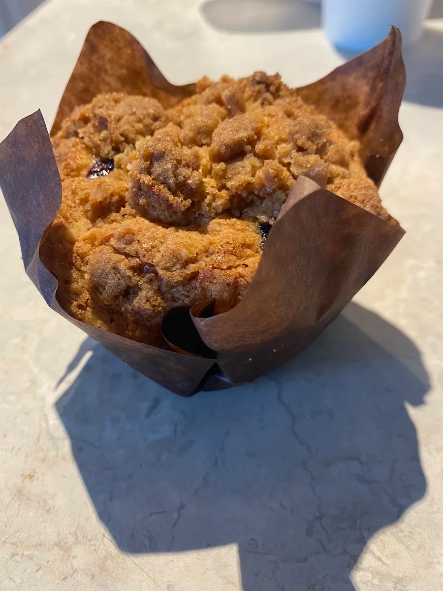 Blueberry Muffin