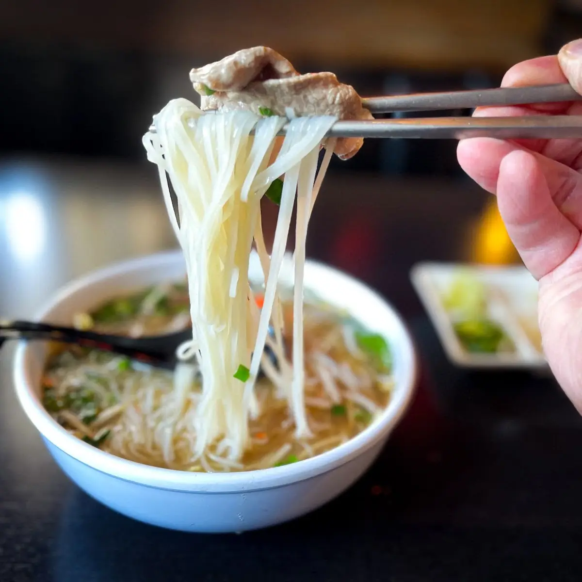 Chinese House Noodle Soup