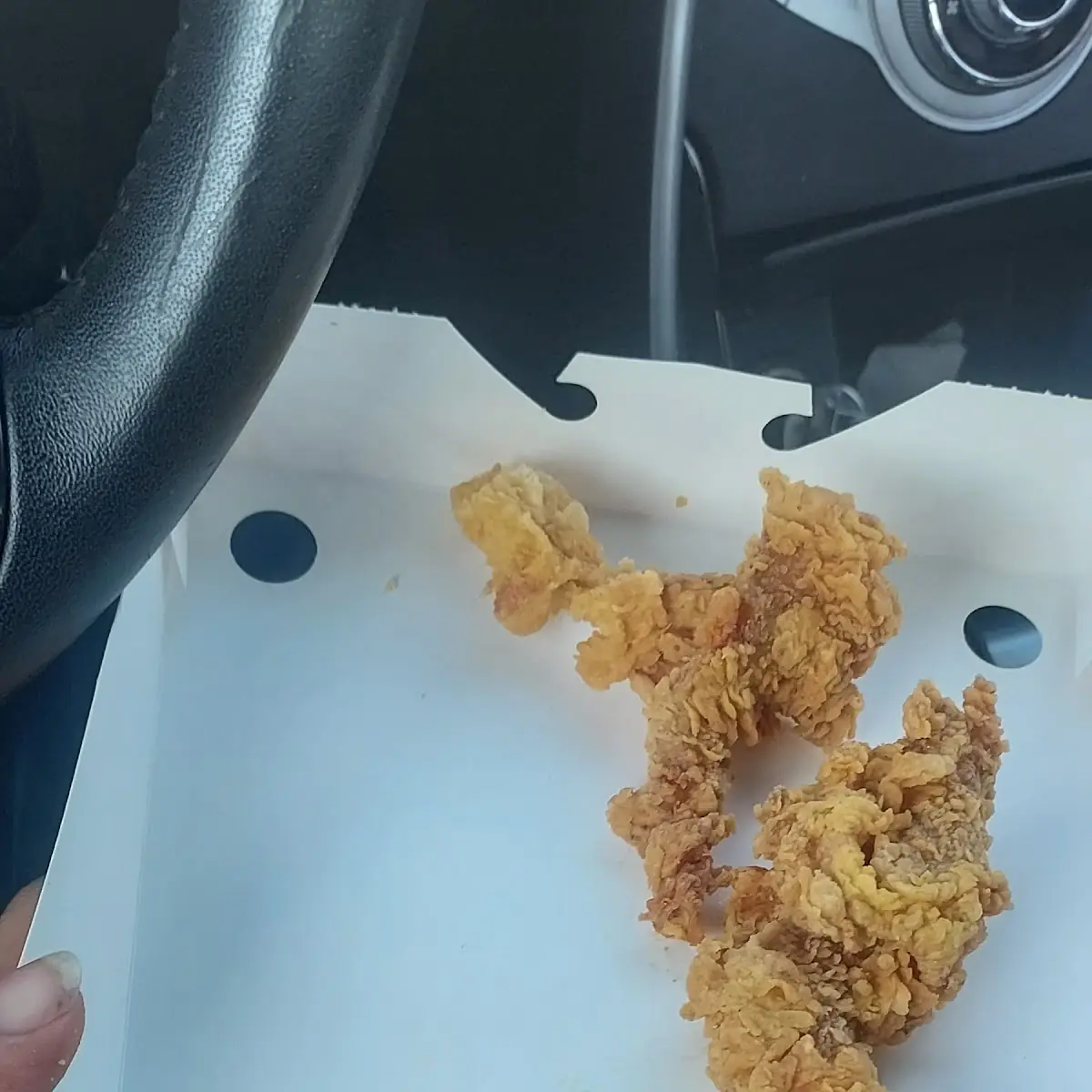 Fried Chicken Tender