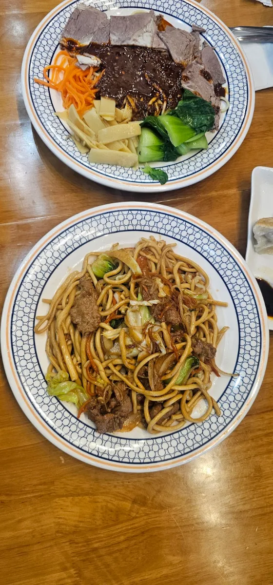 Beef Chow Mein, Omni Noodle Palace(Yonge Sheppard Centre) 东方宫兰州牛肉拉面