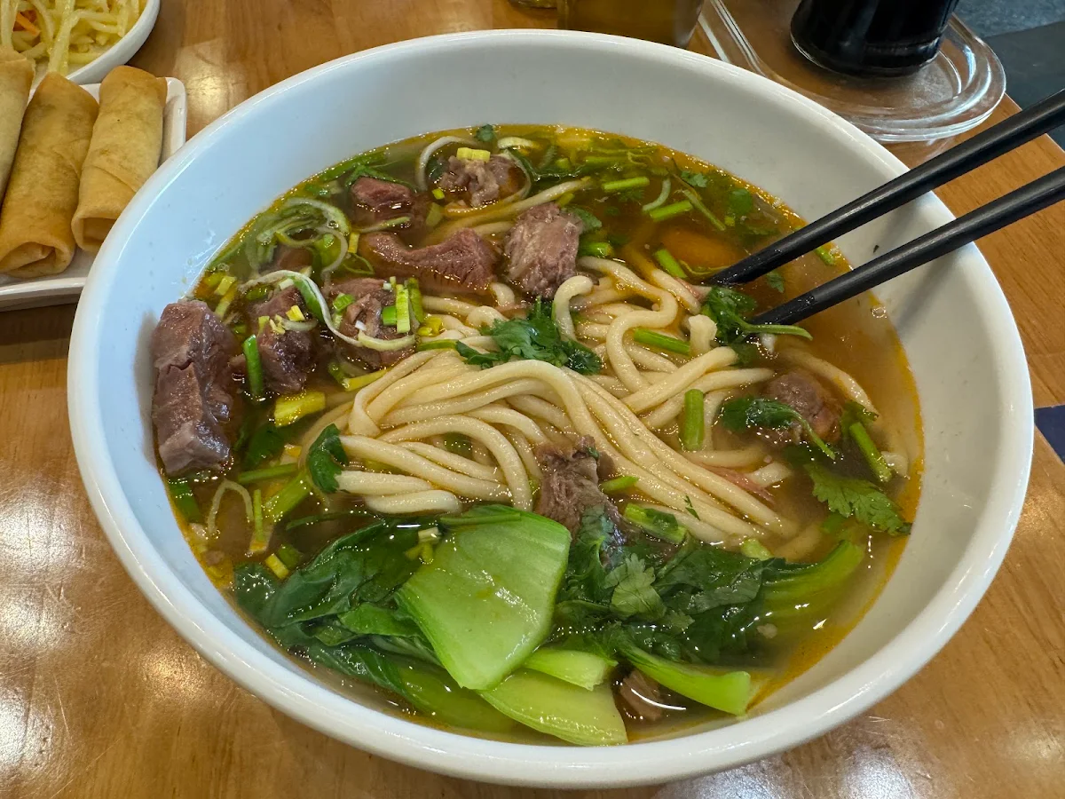 Beef Noodles w Pickled Mustard Greens, Omni Noodle Palace(Yonge Sheppard Centre) 东方宫兰州牛肉拉面