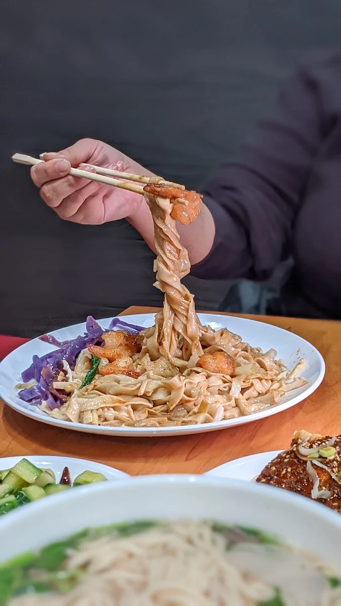 Sesame Paste Chicken Noodles, Omni Noodle Palace(Yonge Sheppard Centre) 东方宫兰州牛肉拉面