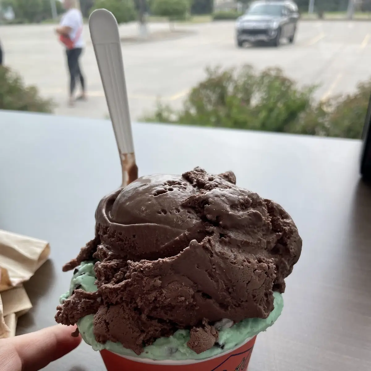 Mint Chocolate Ice Cream and Chocolate Ice Cream