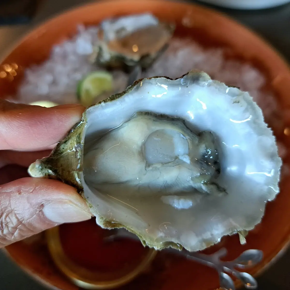 Oysters on the Half Shell