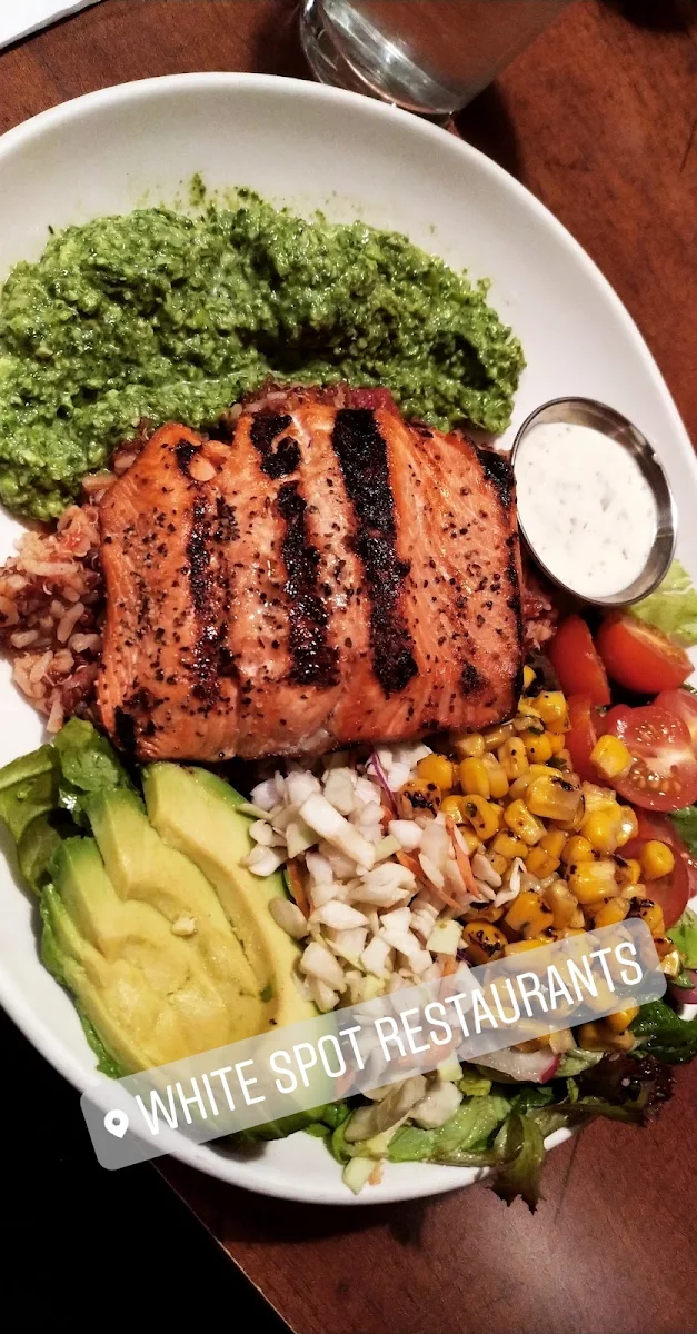 Salmon Bowl