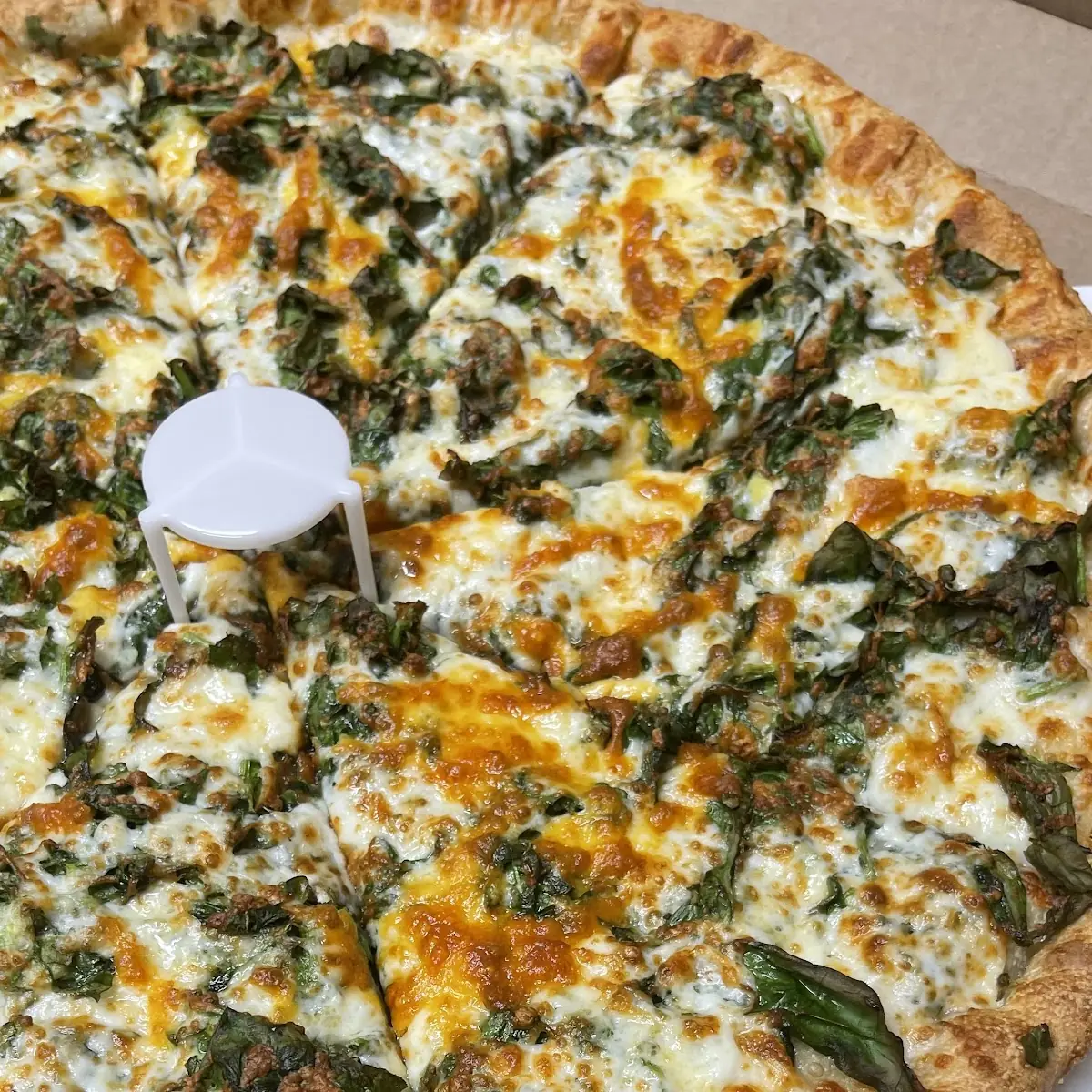 Spinach Pizza