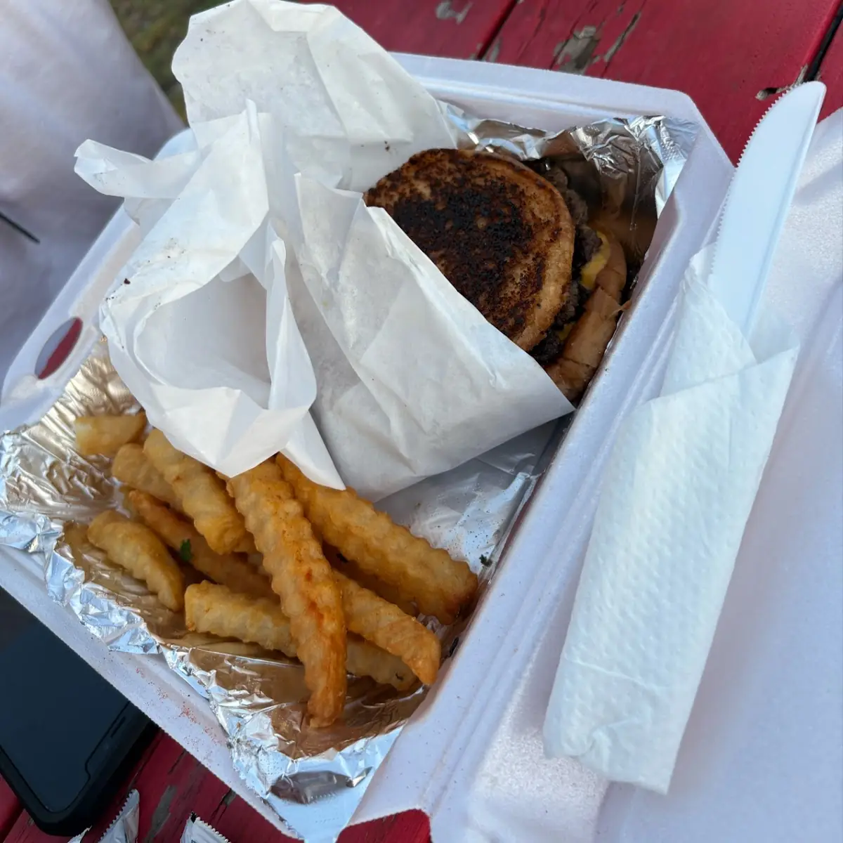 Grilled Cheese Burger and Fries
