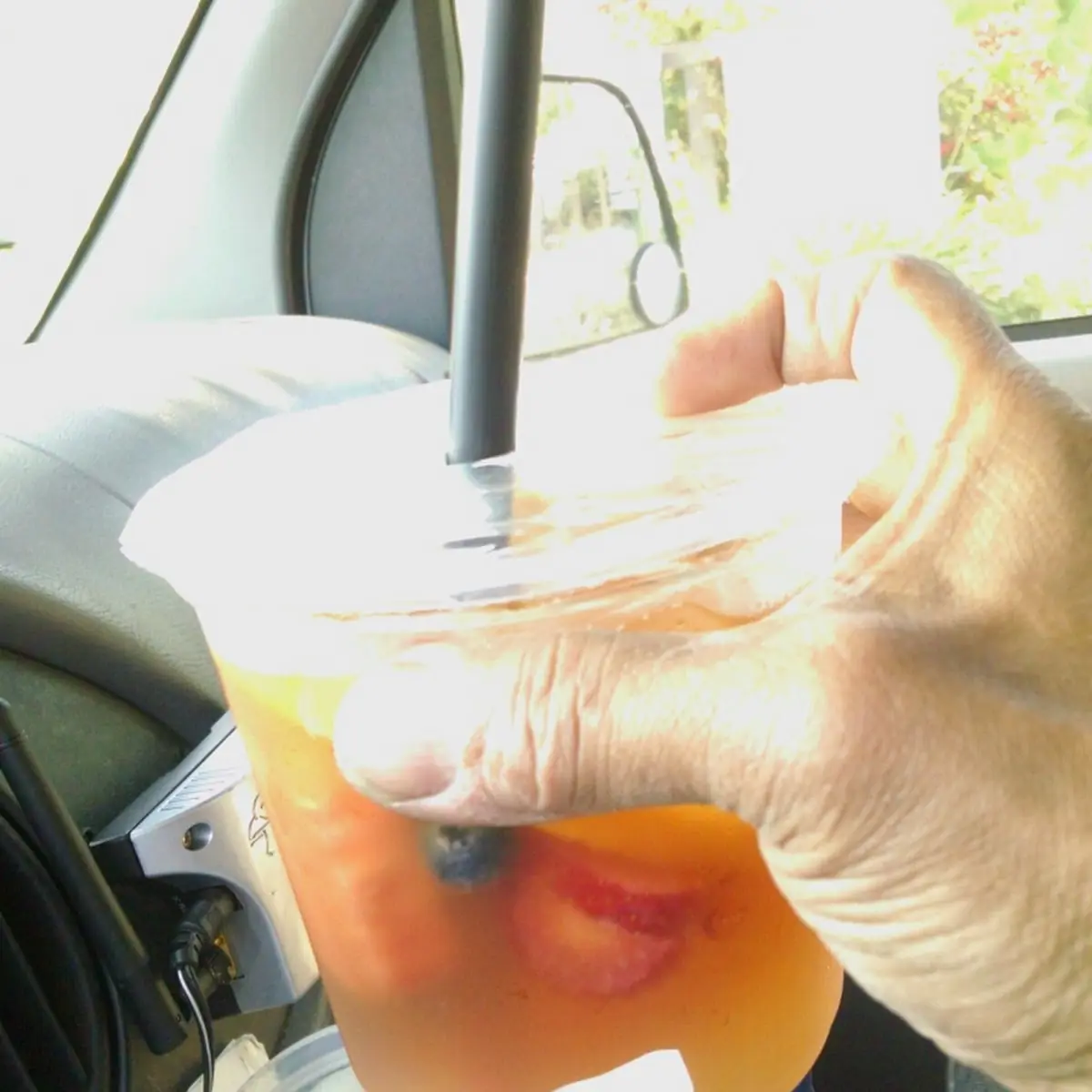 Fresh Fruits in Iced Tea