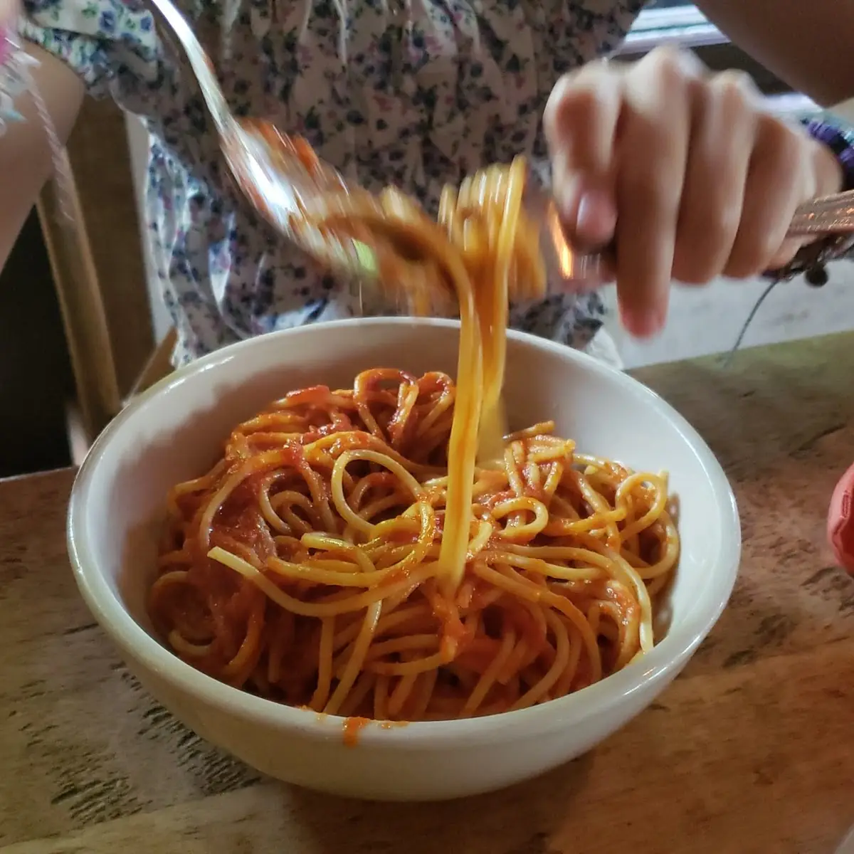 Tomato Sauce Spaghetti