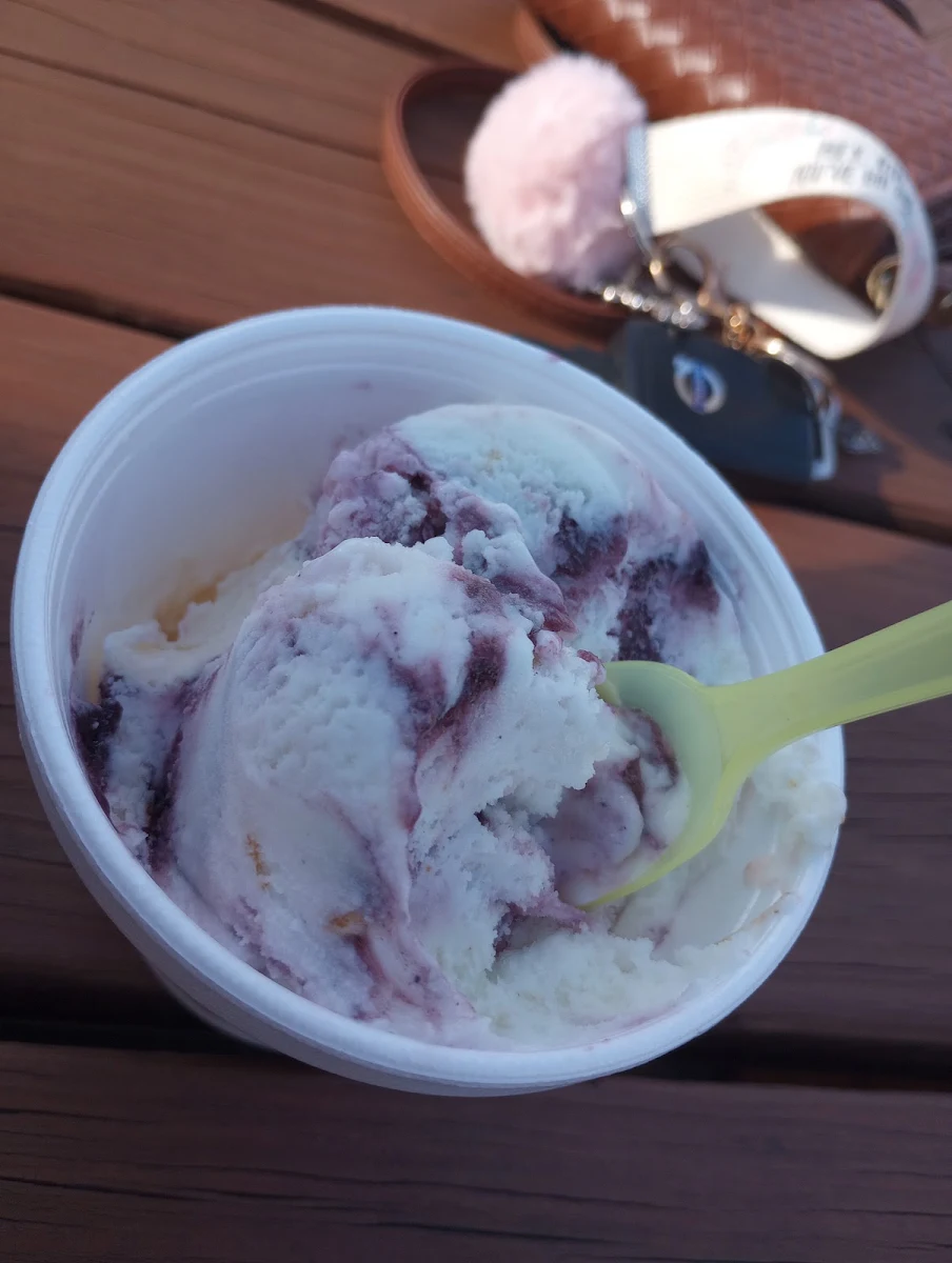 Strawberry Cheesecake Ice Cream