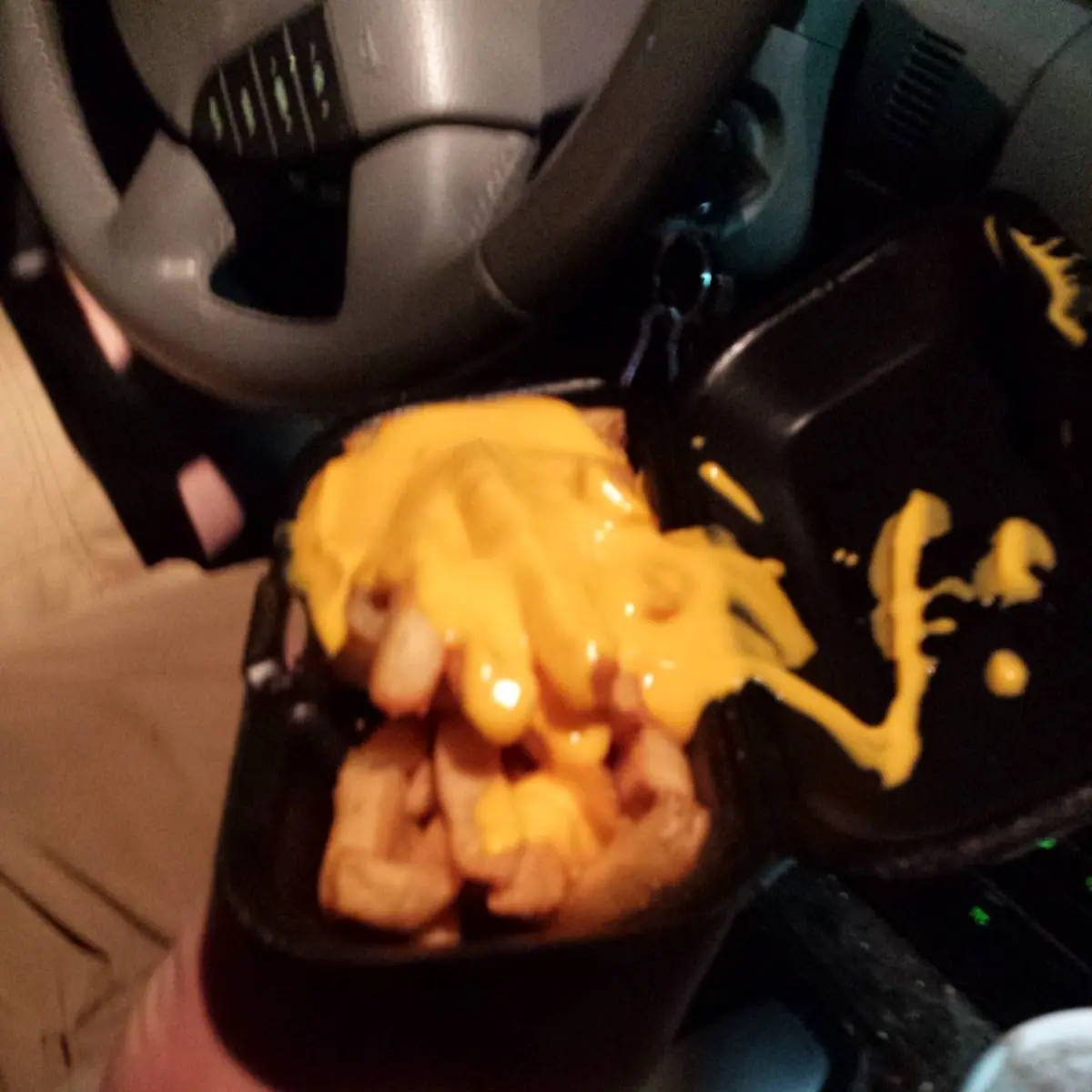 Cheese Fries
