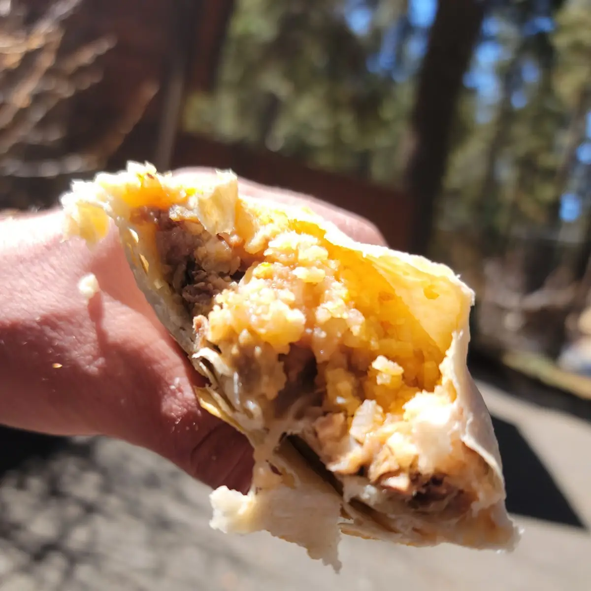 Asada Burrito