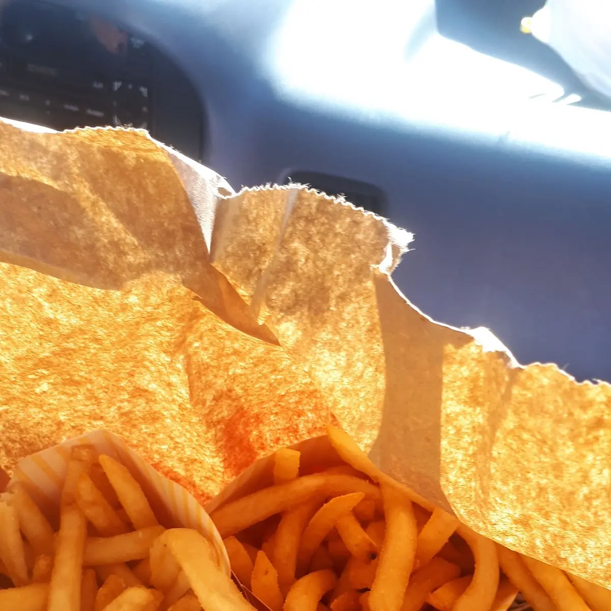 World Famous Fries