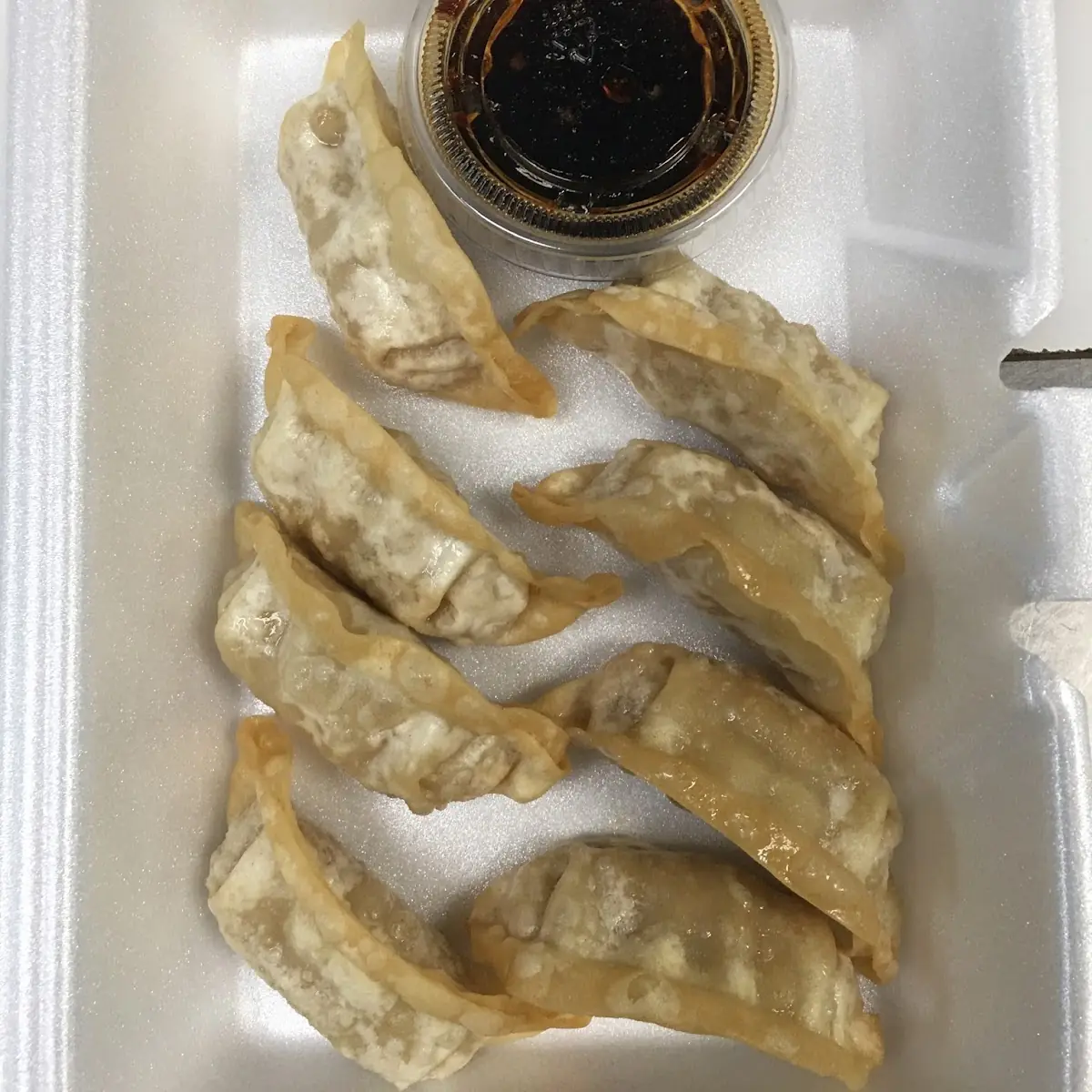 Fried or Steamed Dumplings