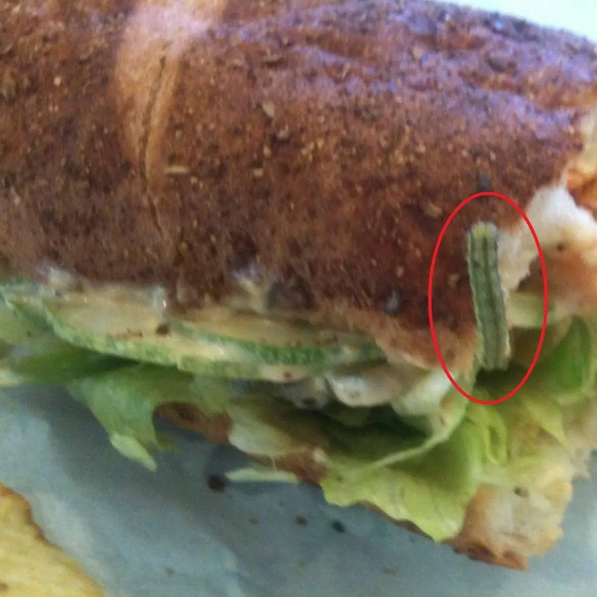 Veggie Delite