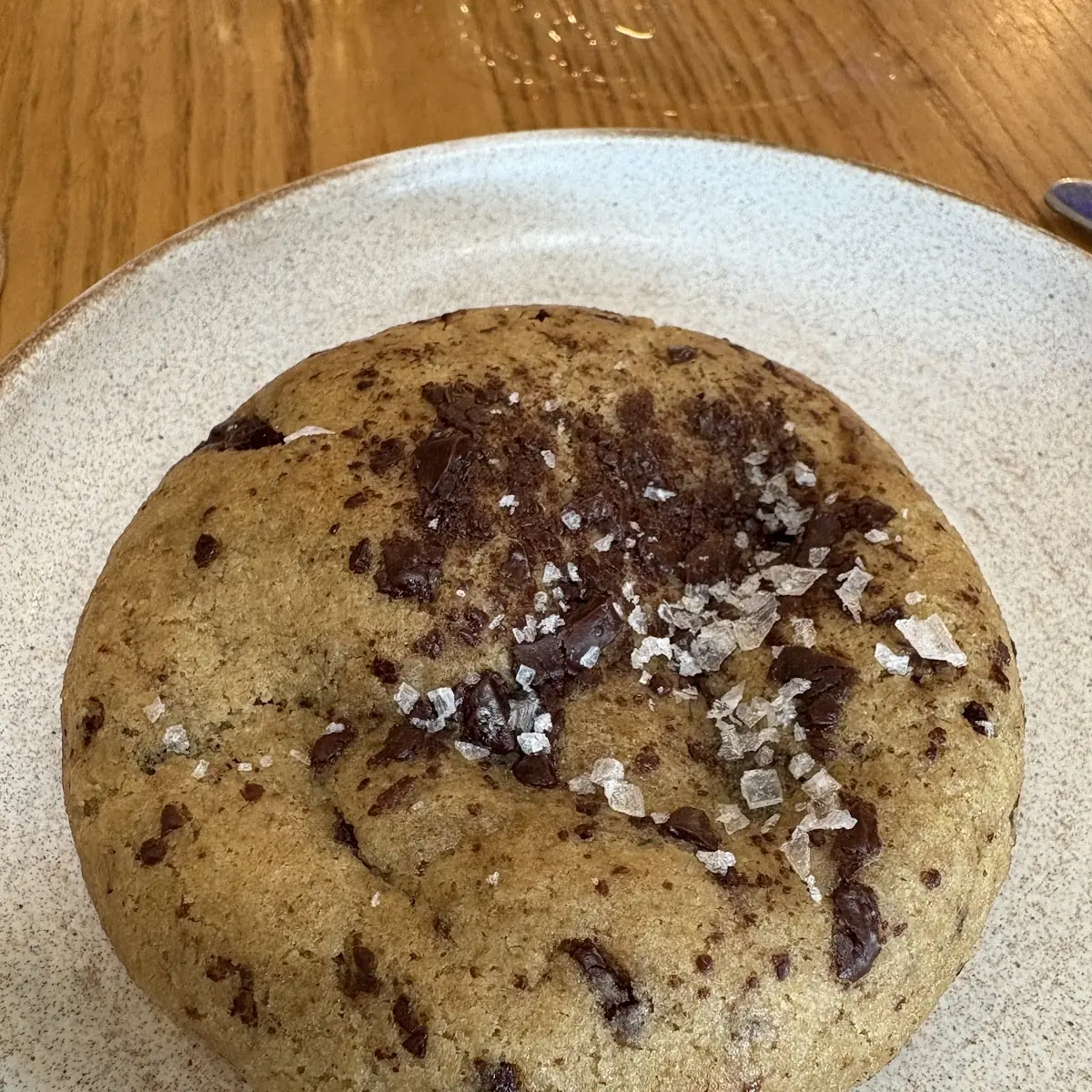 Chocolate Chip Cookie