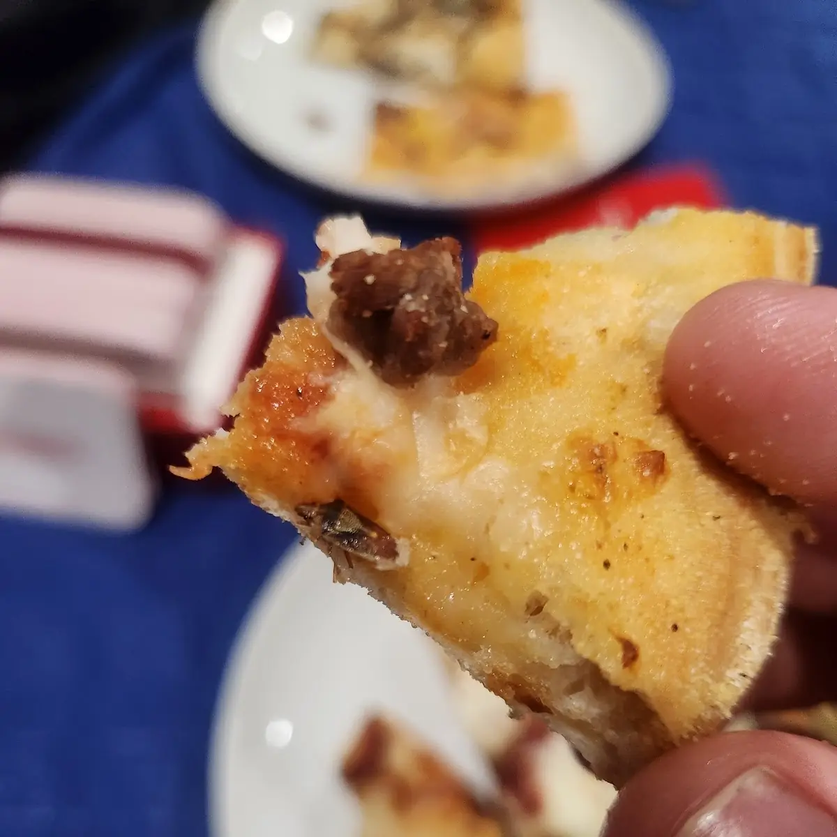 Bread Pudding