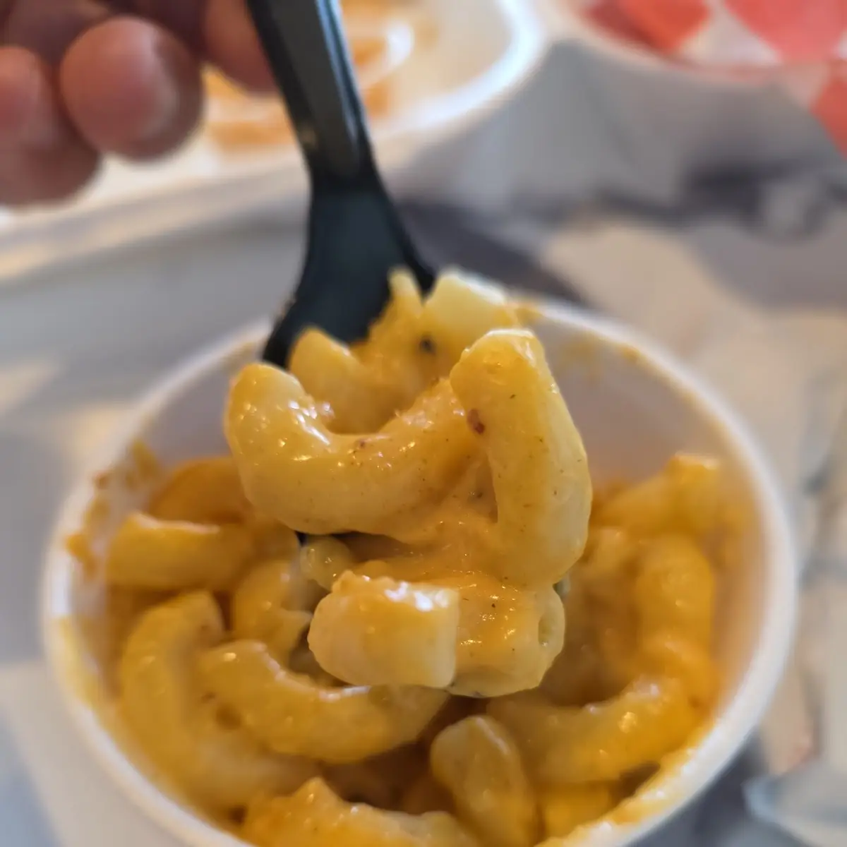 Mac &Cheese