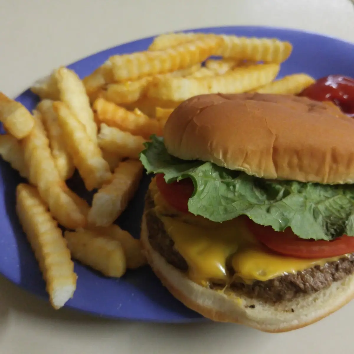 Cheese Burger Plate