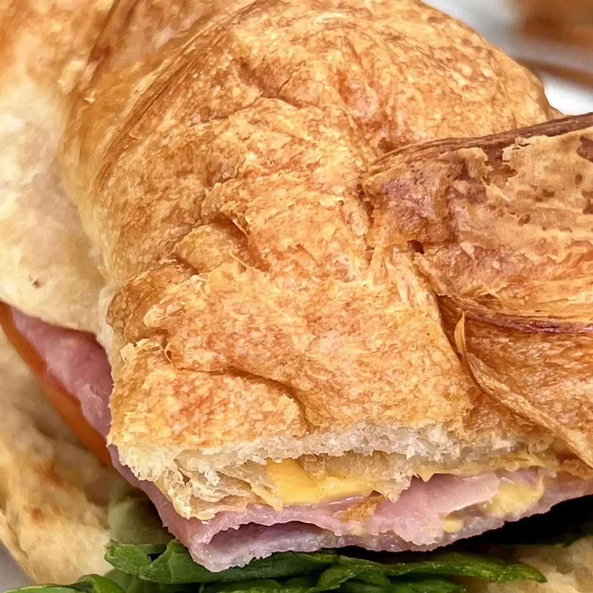 Ham and Cheese Croissant