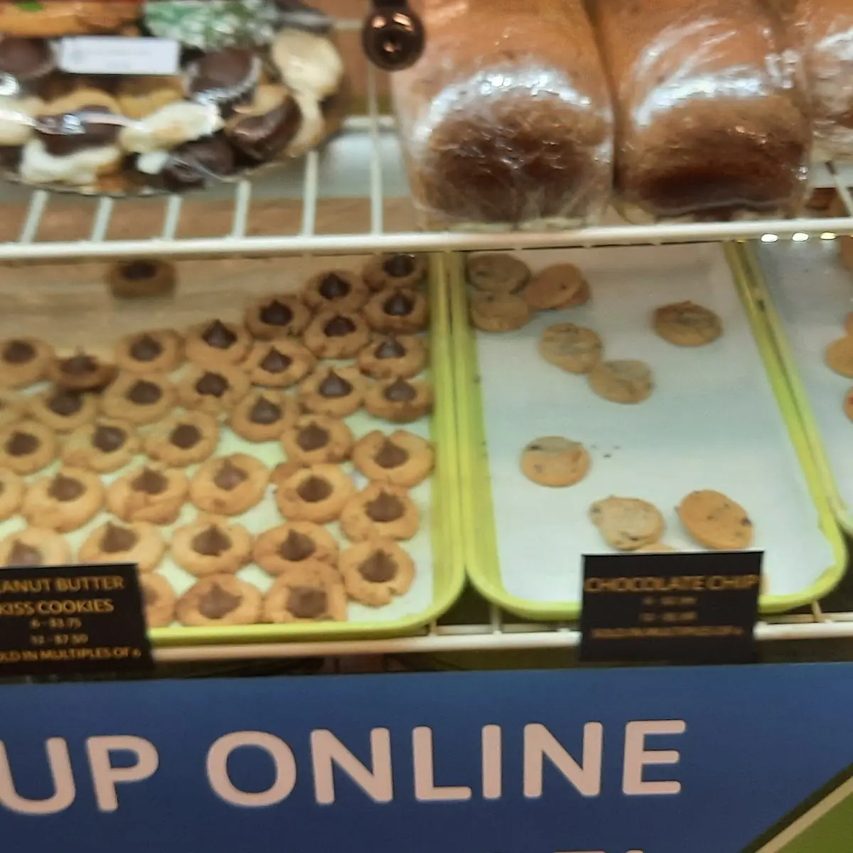 Doughnut