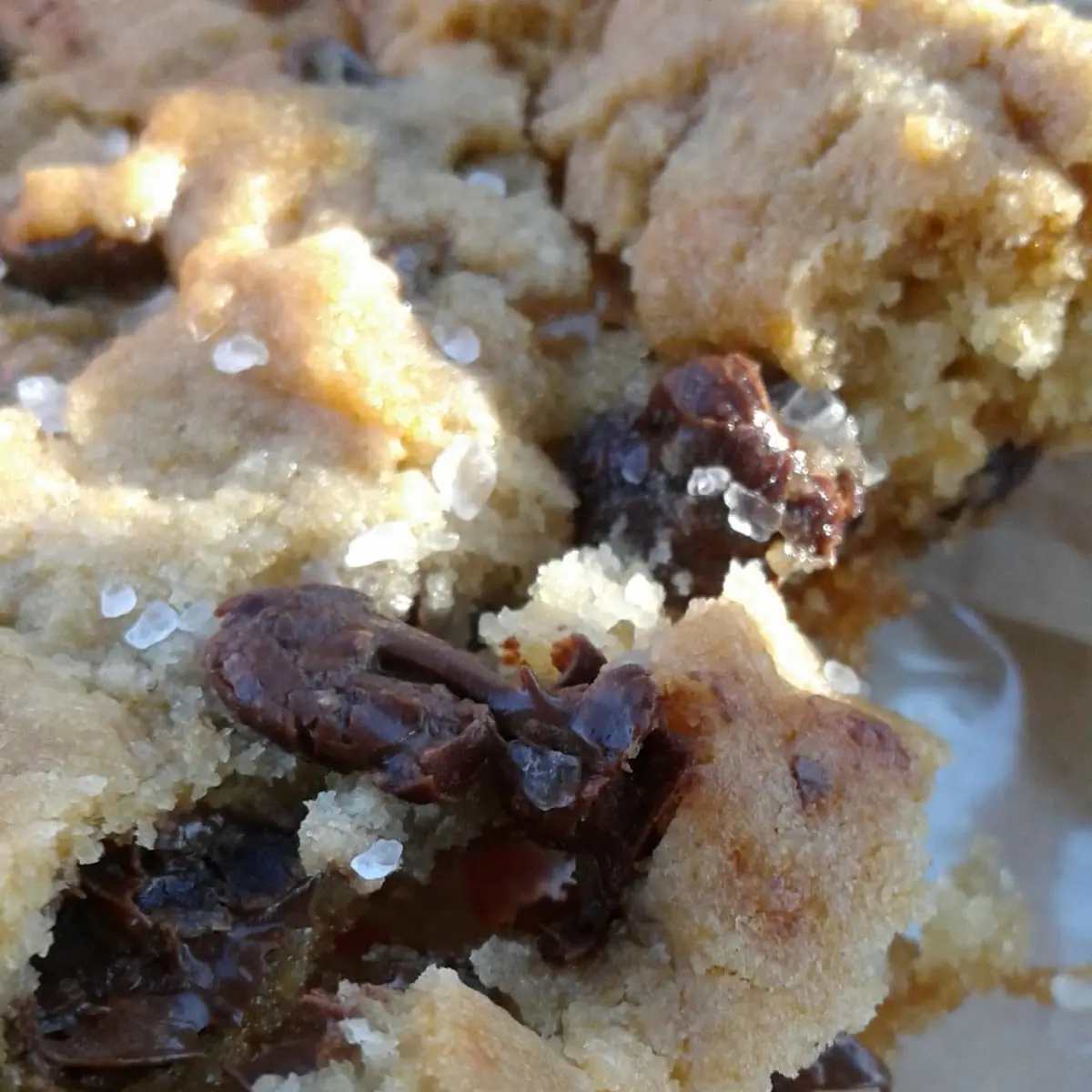 Salted Caramel Chocolate Chip Cookie