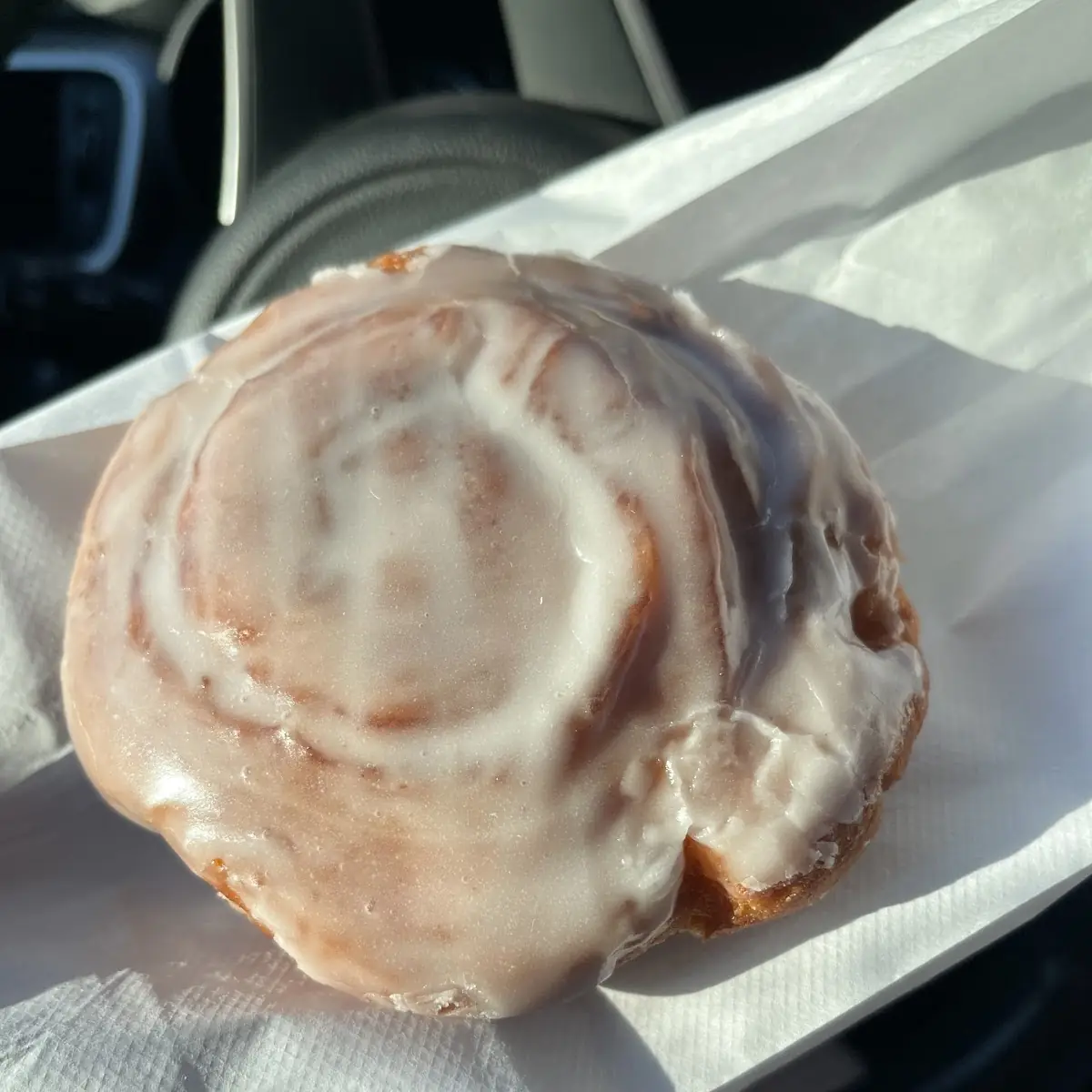 Cinnamon Doughnut