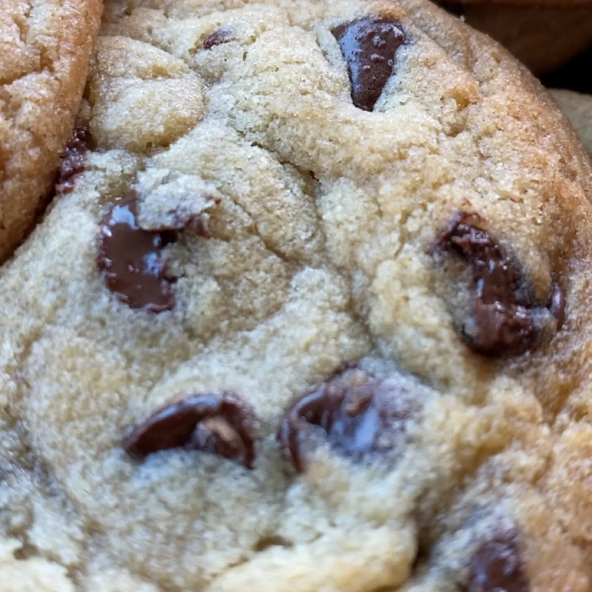 Chocolate Chip Cookie